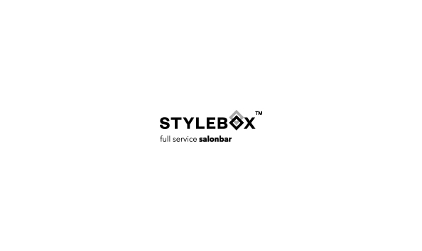 Big image stylebox logo
