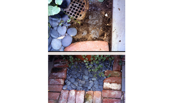 Big image williamswork2