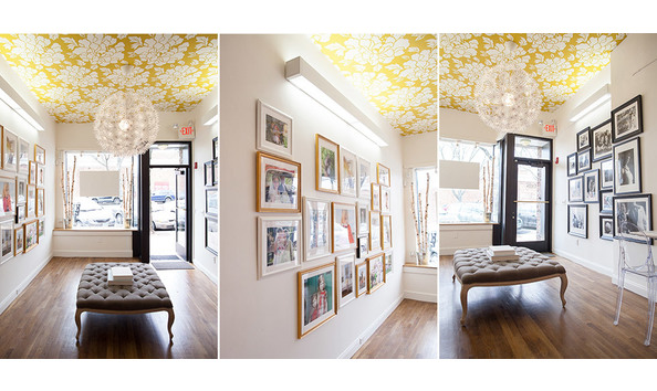 Big image iris the studio