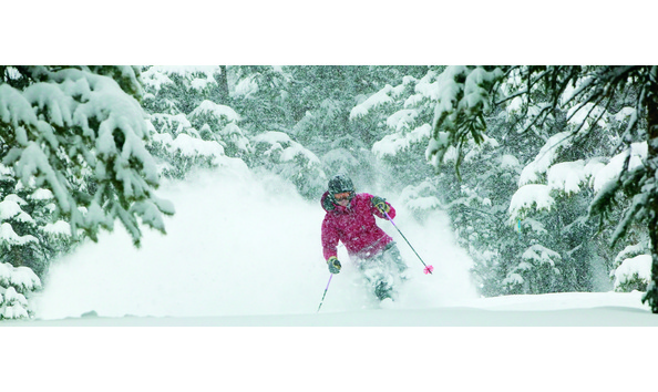 Big image whistler 4