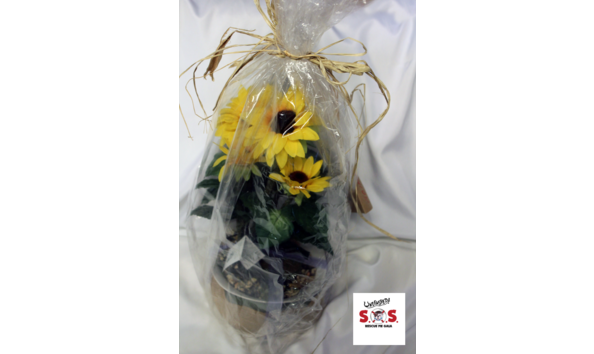 Big image mini magick20181105 112086 17tc3ih