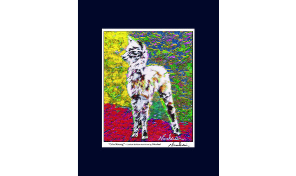 Big image 2018 03 18mopacaapaloosacriastrongartprint lo res