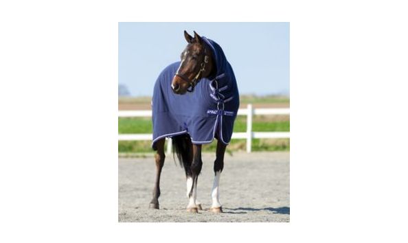 Big image te020639 p