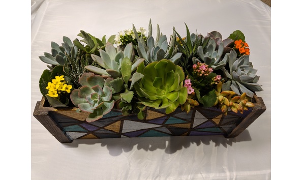 Big image img 20181113 155652