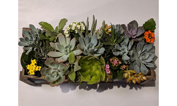 Big image img 20181113 155717