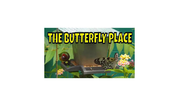 Big image mini magick20181114 108104 w6xgvk