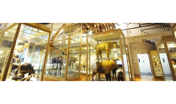 Big image mini magick20181114 108104 yweuin