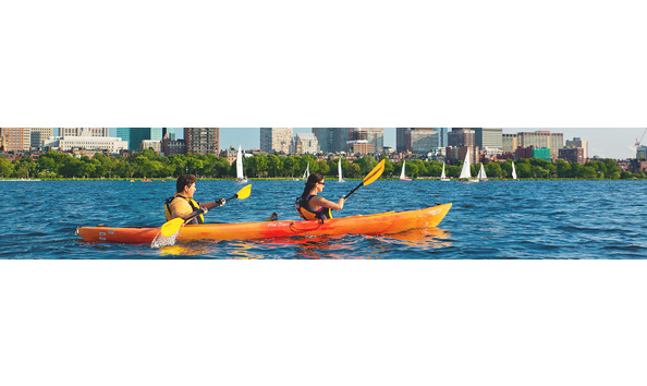 Big image mini magick20181114 108104 1l1a3x