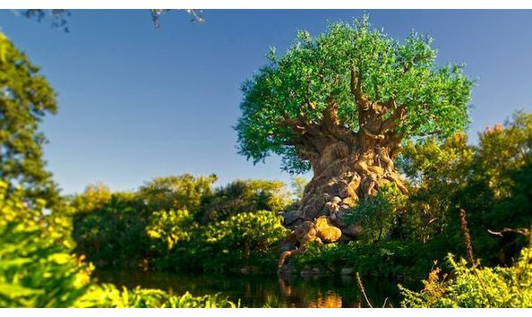 Big image mini magick20181114 108104 1vb9jhd