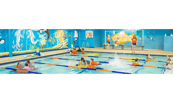 Big image mini magick20181114 108104 86l3xo