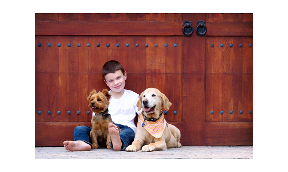 Big image mini magick20181114 108104 1ek90eg