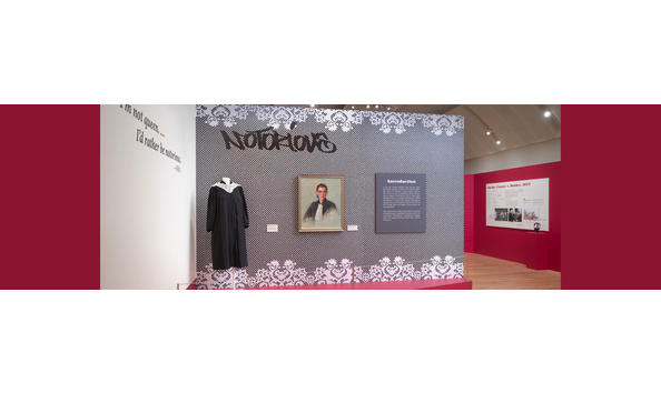 Big image new rgb exhibition head