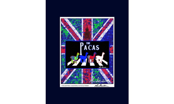 Big image 2017 07 10 art print mat union jack alpaca 11x14 lo res