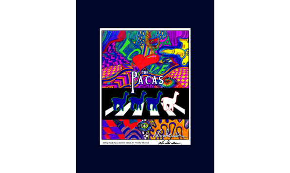 Big image 2017 07 10 art print mat abbey road alpaca 11x14 lo res