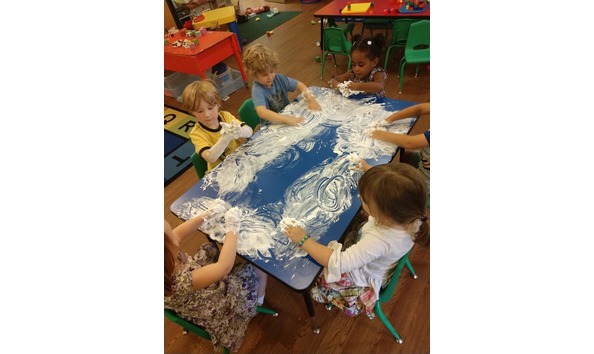 Organization Main Image