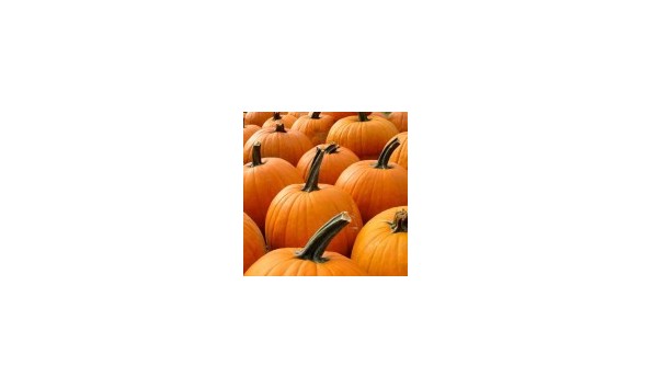 Big image pumpkins 3 150x150