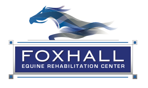 Big image equine rehab