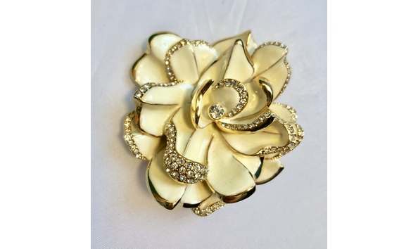 Big image fullsizeoutput 3be5