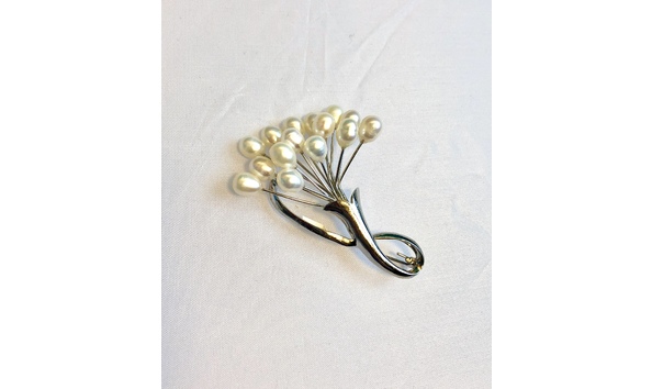 Big image fullsizeoutput 3be6