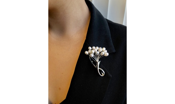 Big image fullsizeoutput 3be8