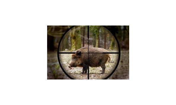 Big image mini magick20181121 28383 1c6d2ek