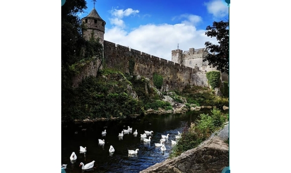 Big image mini magick20181121 28383 123z473