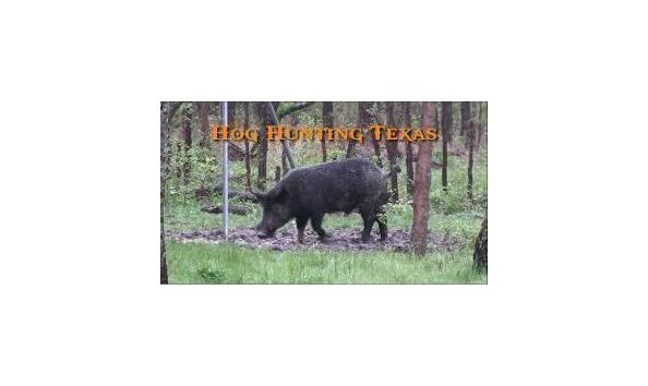 Big image mini magick20181121 59628 py1x99