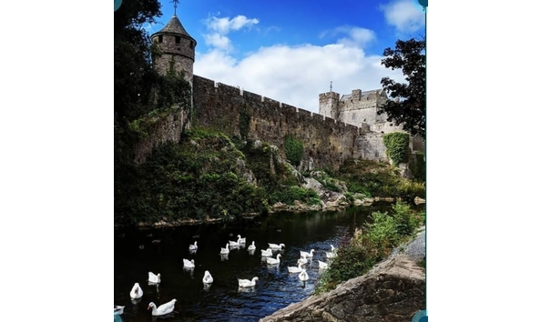 Big image mini magick20181122 59628 5ridsa