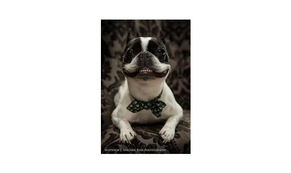 Big image m wagner 2