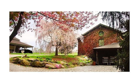 Big image 17 basignani winery cheese tastings for 2 reg 32 4 2643252 regular