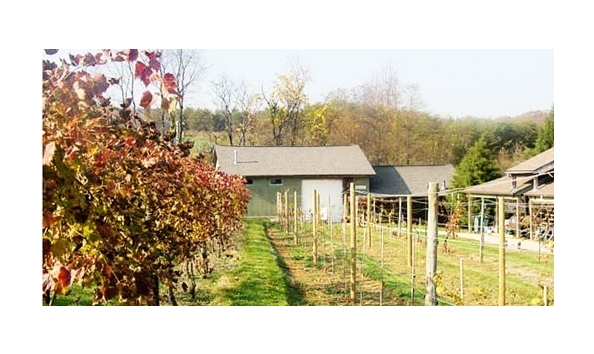 Big image 17 basignani winery cheese tastings for 2 reg 32 4 2643262 regular