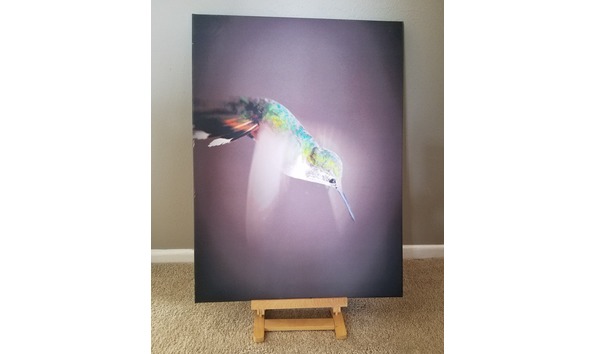 Big image 47463257 1058330084359442 8505934205740384256 n