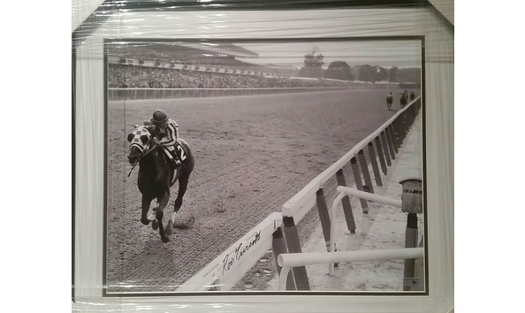 Big image 20160906 063649 1 resized