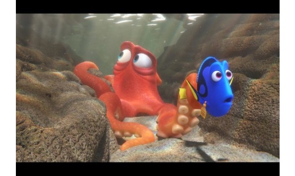 Big image findingdory574e15723135c 1 