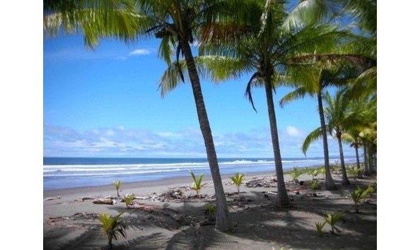 Big image mini magick20181215 85908 ggg9gh