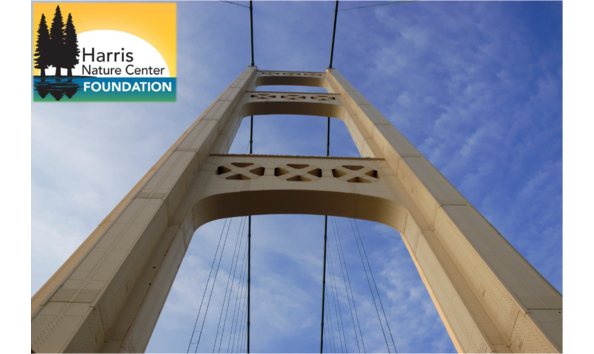 Big image big image bridgelogo2