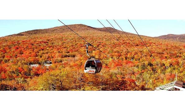 Big image fall