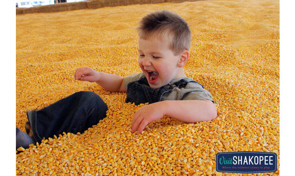 Big image severs fall festival shakopee minnesota 1024x683