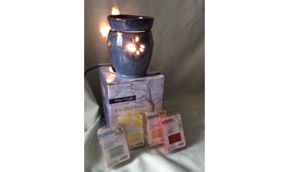 Big image wax melter