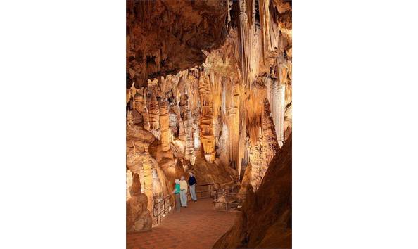 Big image 12006113 10153682705173336 3148841212018534087 n 1 