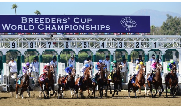 Big image thumbnail breeders  cup