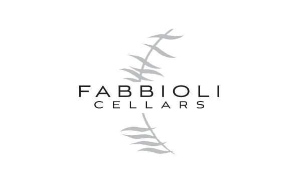 Big image fabbiollilogo color 300x300