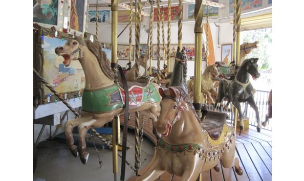 Big image mini magick20190110 88279 b6298e