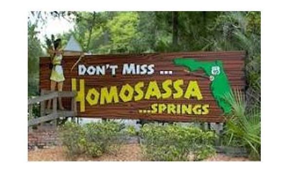 Big image mini magick20190110 29132 11gaydl