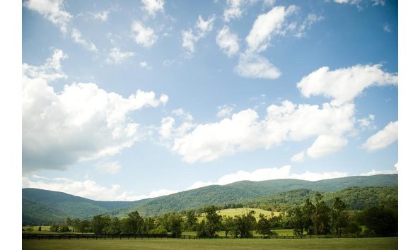 Big image mini magick20190111 29132 172crfy