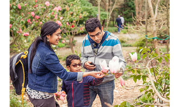 Big image mini magick20190112 100172 1xmbthe