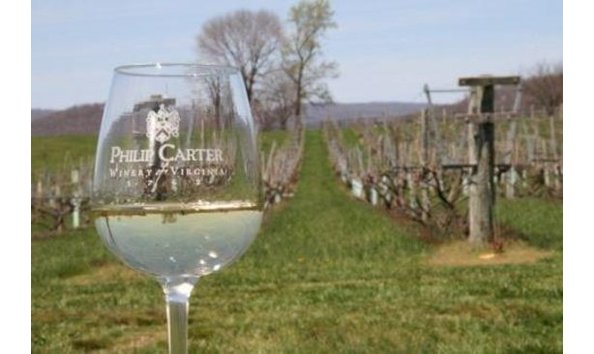 Big image philip carter winery 1 