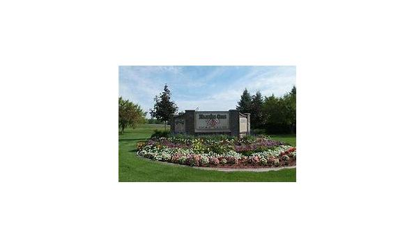 Big image majestic oaks 4