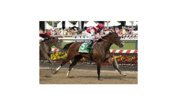 Big image go maggie go12.5 20 16.mao 