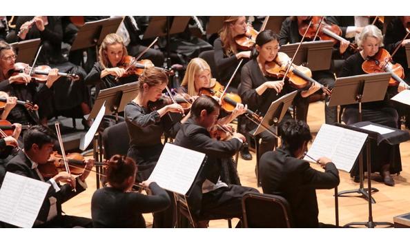 Big image symphony cropped 2 1150x597 1 